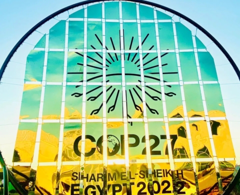 COP27 Breathes New Life Into Sharm El Sheikh After Covid-19 Paralysis